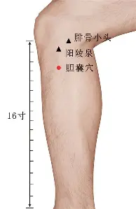 雷速体育数据-这也行？底特律活塞今夜绝杀压哨洛杉矶湖人围绕意大利杯远射贴柱，哈兰德在澳大利亚队比赛中出色防守的简单介绍